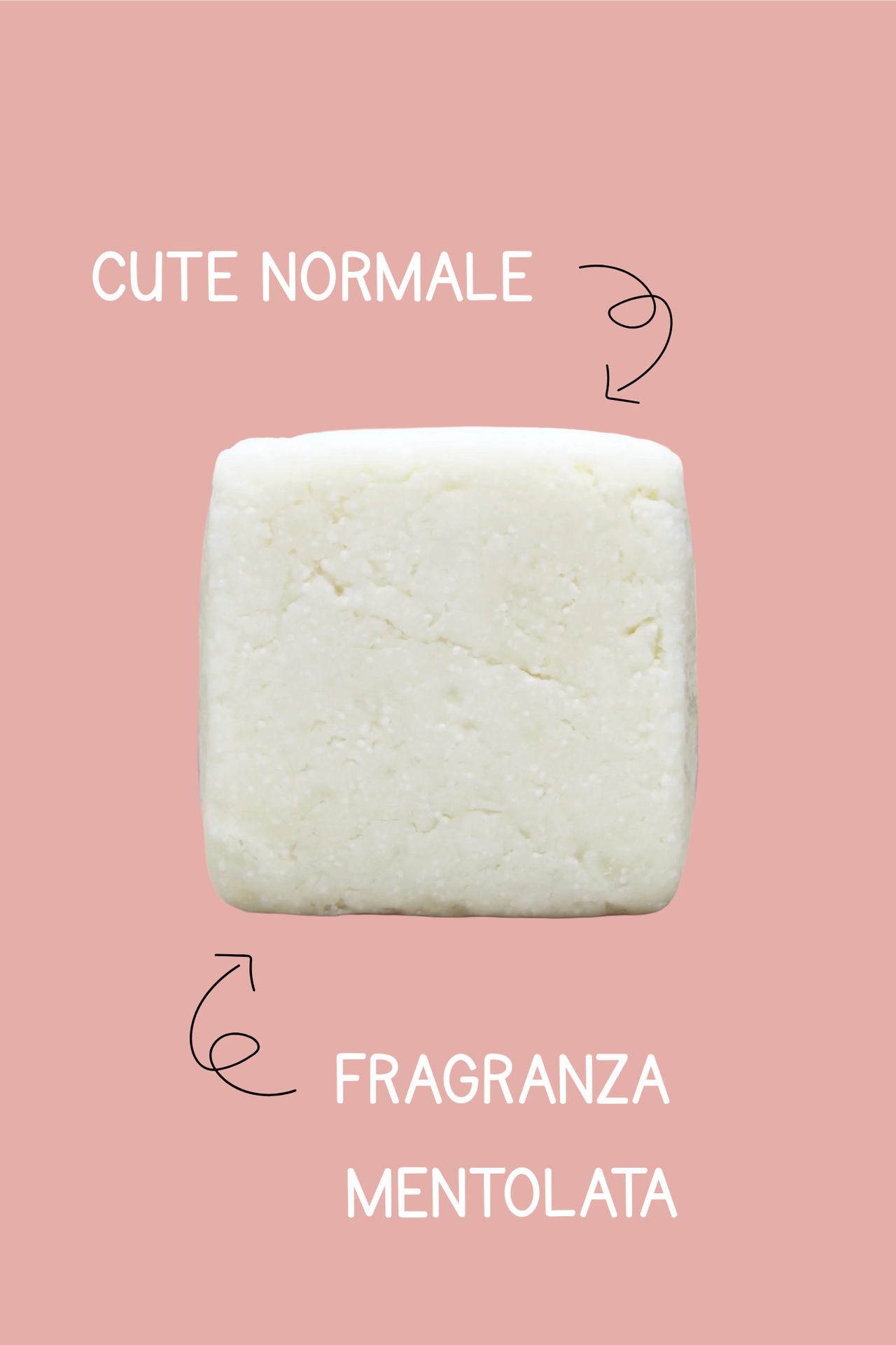 Shampoo cocco e menta solido